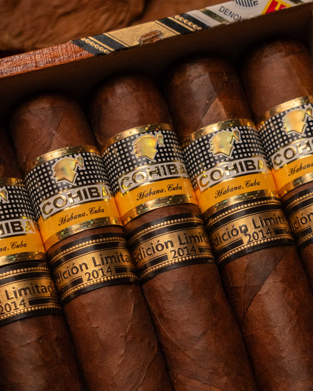 COHIBA 羅布圖 Robusto