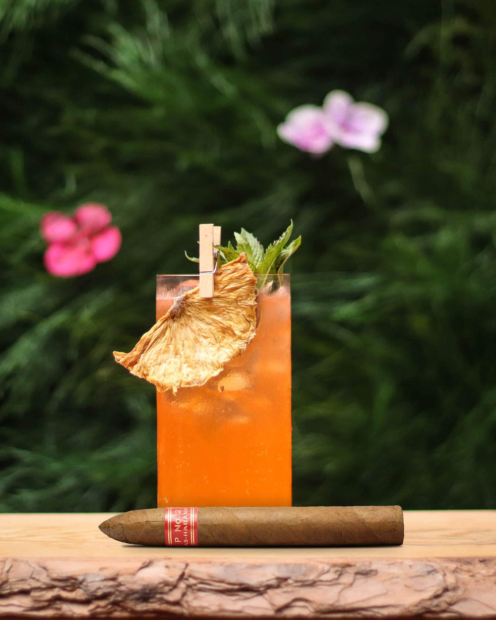 PARTAGAS 帕特加斯 P2