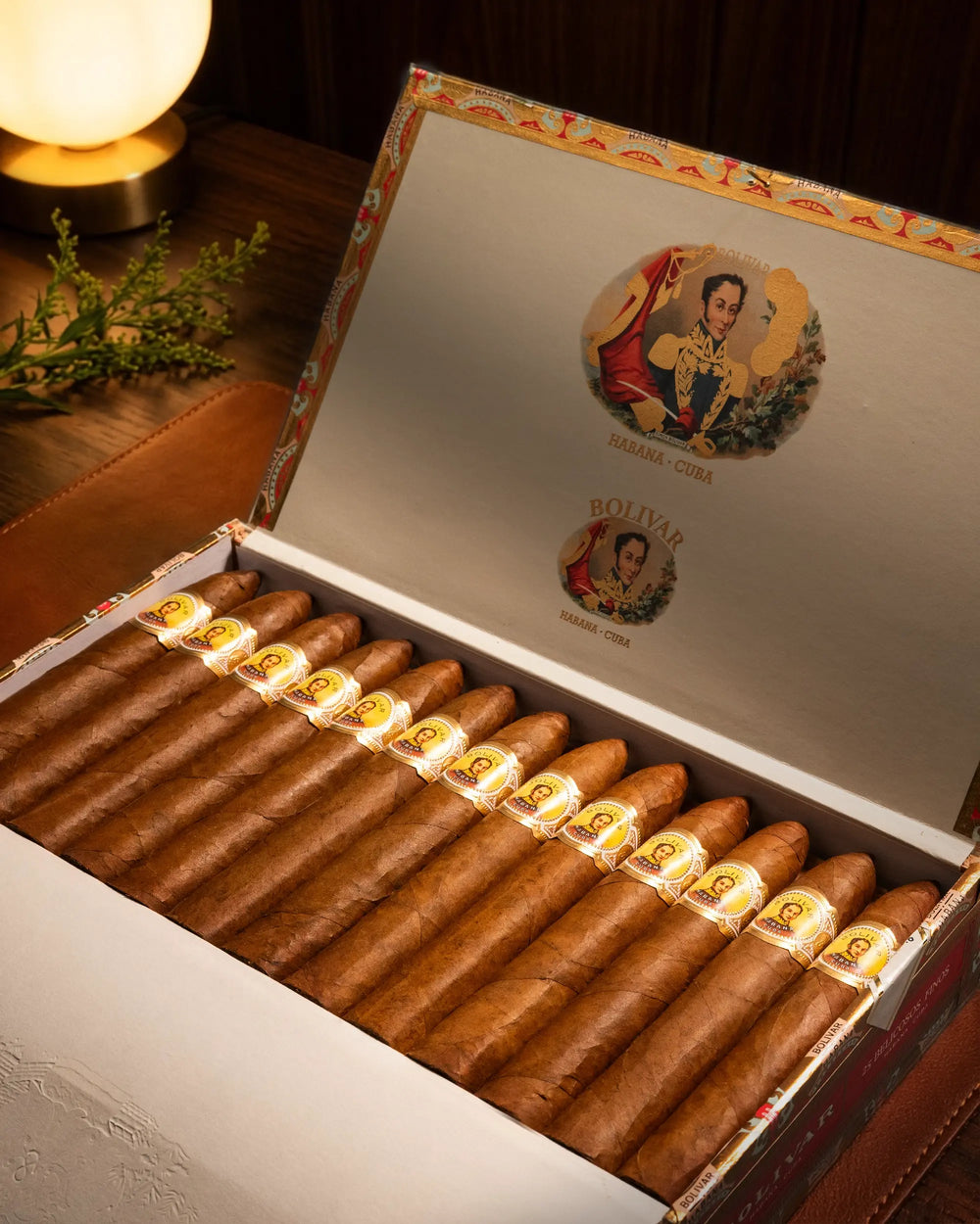BOLIVAR 玻利瓦爾 彪南