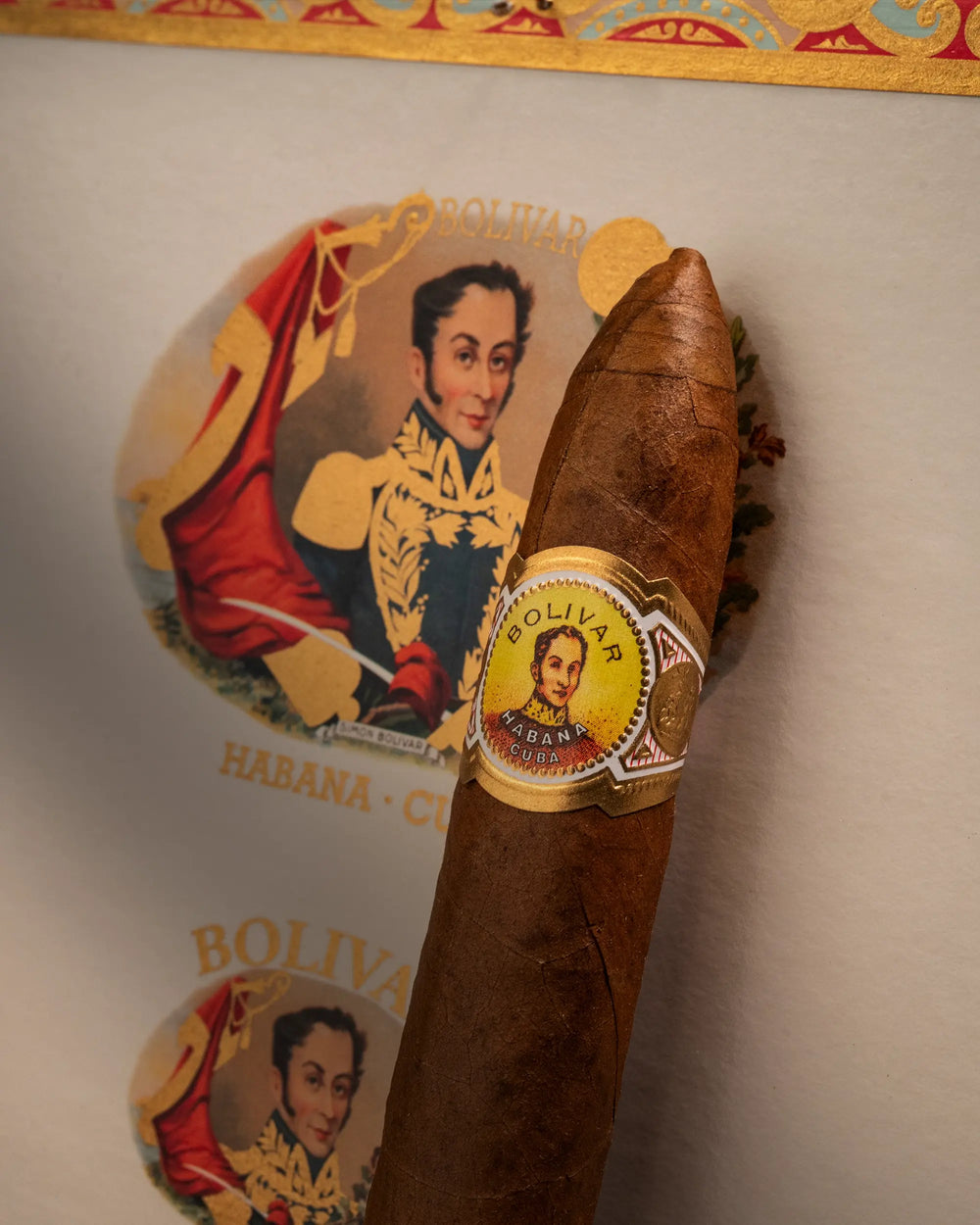BOLIVAR 玻利瓦爾 彪南